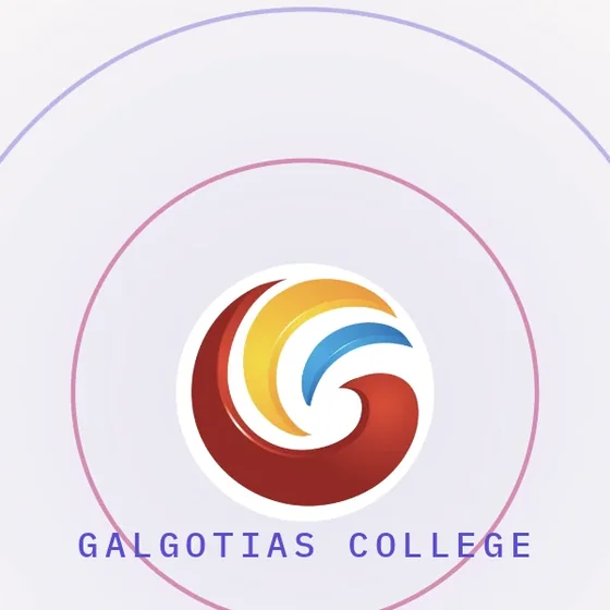 FESTIVAL identity emblem